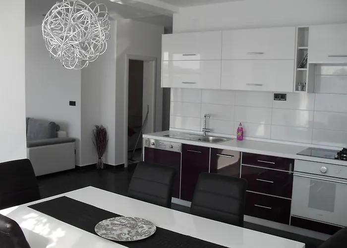 Govic 프리모스턴